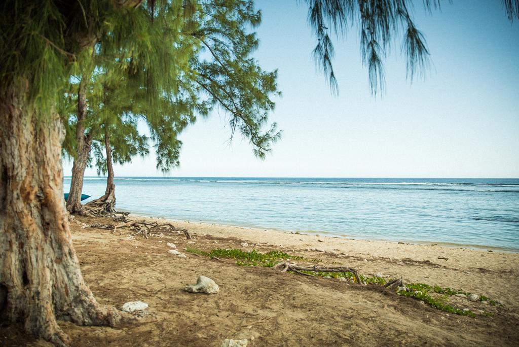 Appartement Le Blue Baie Saint-Paul 外观 照片